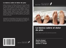 Buchcover von Lo básico sobre el dolor de pies