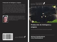 Buchcover von Producción de hidrógeno y oxígeno