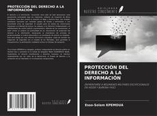 Buchcover von PROTECCIÓN DEL DERECHO A LA INFORMACIÓN