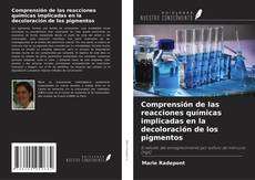 Copertina di Comprensión de las reacciones químicas implicadas en la decoloración de los pigmentos