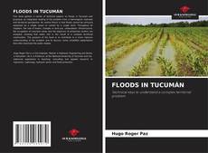 Borítókép a  FLOODS IN TUCUMÁN - hoz
