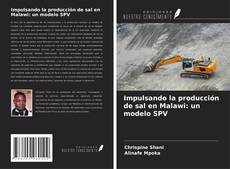 Buchcover von Impulsando la producción de sal en Malawi: un modelo SPV
