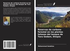 Buchcover von Reservas de carbono forestal en las plantas leñosas del bosque de Tara Gedam, Etiopía