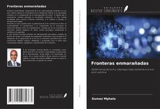 Couverture de Fronteras enmarañadas