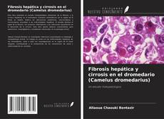 Buchcover von Fibrosis hepática y cirrosis en el dromedario (Camelus dromedarius)