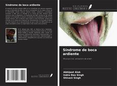 Buchcover von Síndrome de boca ardiente