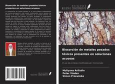 Copertina di Biosorción de metales pesados tóxicos presentes en soluciones acuosas