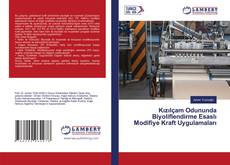 Bookcover of Kızılçam Odununda Biyoliflendirme Esaslı Modifiye Kraft Uygulamaları