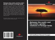 Bookcover of Between the exotic and the erotic: gender relations in foreign lands