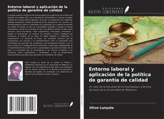 Buchcover von Entorno laboral y aplicación de la política de garantía de calidad