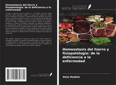 Copertina di Homeostasis del hierro y fisiopatología: de la deficiencia a la enfermedad