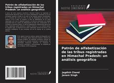 Copertina di Patrón de alfabetización de las tribus registradas en Himachal Pradesh: un análisis geográfico