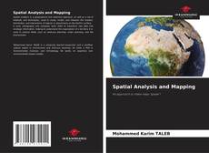 Spatial Analysis and Mapping的封面