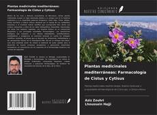 Copertina di Plantas medicinales mediterráneas: Farmacología de Cistus y Cytisus
