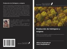 Buchcover von Producción de hidrógeno y oxígeno