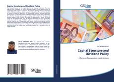 Capital Structure and Dividend Policy的封面
