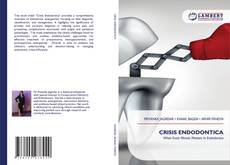 Bookcover of CRISIS ENDODONTICA