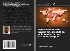 Buchcover von Repercusiones de la minería artesanal de oro en la vegetación del círculo de Kangaba