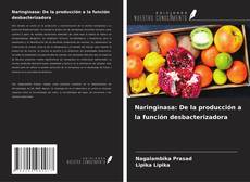 Copertina di Naringinasa: De la producción a la función desbacterizadora