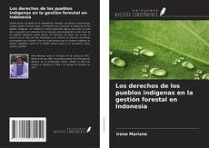 Copertina di Los derechos de los pueblos indígenas en la gestión forestal en Indonesia