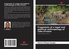 Buchcover von Fragments of a legal and political anthropology of Côte d'Ivoire