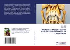 Copertina di Anatomico Morphology In Conservative Dentistry And Endodontics