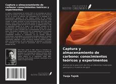 Copertina di Captura y almacenamiento de carbono: conocimientos teóricos y experimentos