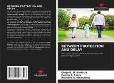 Bookcover of BETWEEN PROTECTION AND DELAY