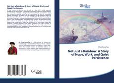 Bookcover of Not Just a Rainbow: A Story of Hope, Work, and Quiet Persistence