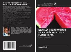 NORMAS Y DIRECTRICES EN LA PRÁCTICA DE LA MATRONERÍA kitap kapağı