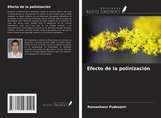 Buchcover von Efecto de la polinización