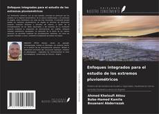 Buchcover von Enfoques integrados para el estudio de los extremos pluviométricos