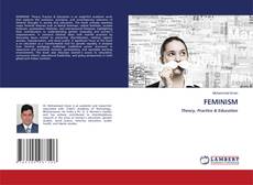 Capa do livro de FEMINISM 