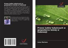 Portada del libro de Prawa ludów tubylczych w gospodarce leśnej w Indonezji