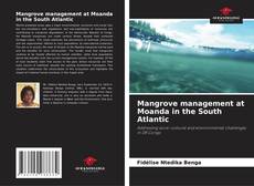Обложка Mangrove management at Moanda in the South Atlantic