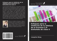 Buchcover von Enfoques para la inhibición de la aldolasa de la fructosa-1,6-bisfosfato de clase II