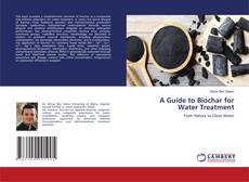 Capa do livro de A Guide to Biochar for Water Treatment 