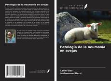 Buchcover von Patología de la neumonía en ovejas