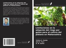 Couverture de Limitaciones en la adopción del riego por goteo para el cultivo del plátano en Maharashtra