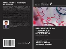Buchcover von DERIVADOS DE LA TIAZOLO[3,2-a]PIRIMIDINA
