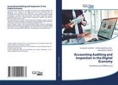 Accounting Auditing and Inspection in the Digital Economy的封面