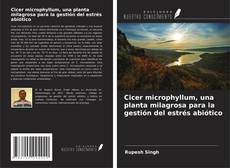 Copertina di Cicer microphyllum, una planta milagrosa para la gestión del estrés abiótico