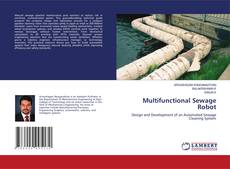 Bookcover of Multifunctional Sewage Robot