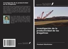 Copertina di Investigación de la productividad de las dragalinas