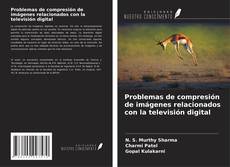 Buchcover von Problemas de compresión de imágenes relacionados con la televisión digital