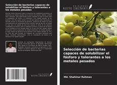 Buchcover von Selección de bacterias capaces de solubilizar el fósforo y tolerantes a los metales pesados