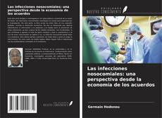 Copertina di Las infecciones nosocomiales: una perspectiva desde la economía de los acuerdos