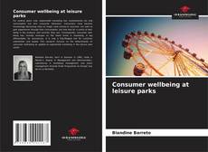 Portada del libro de Consumer wellbeing at leisure parks