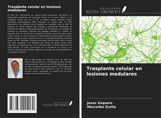 Copertina di Trasplante celular en lesiones medulares