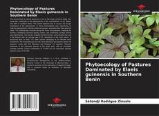 Phytoecology of Pastures Dominated by Elaeis guinensis in Southern Benin的封面